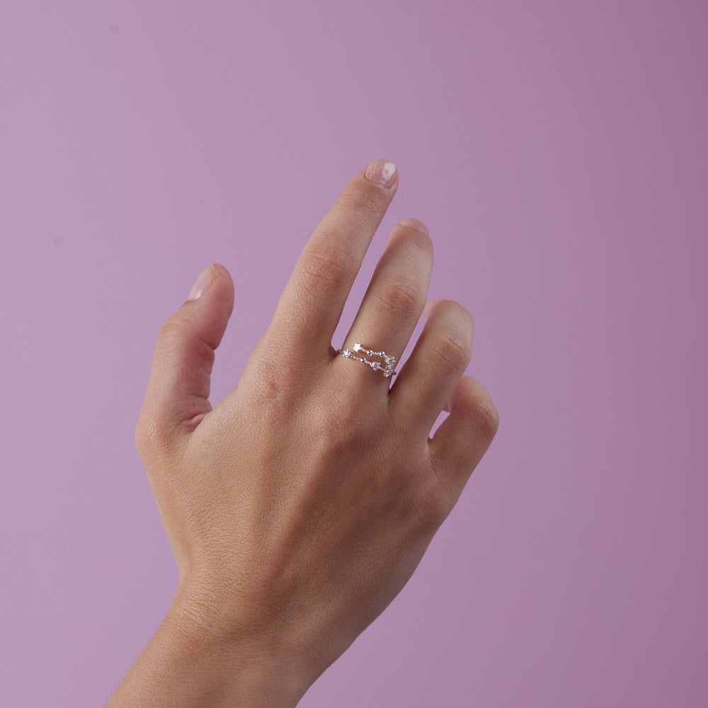 Anillo Capricornio Plata