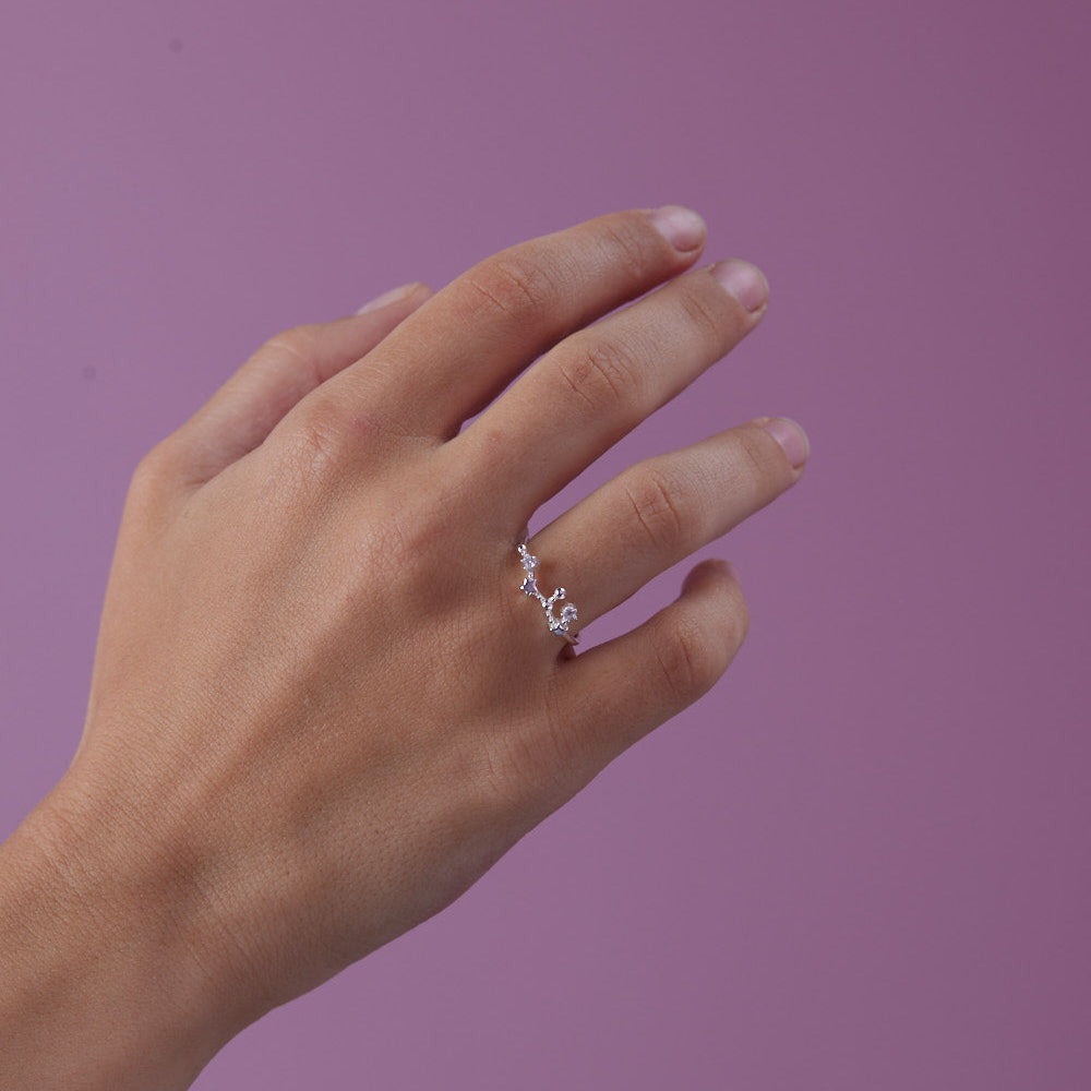Anillo Leo Plata