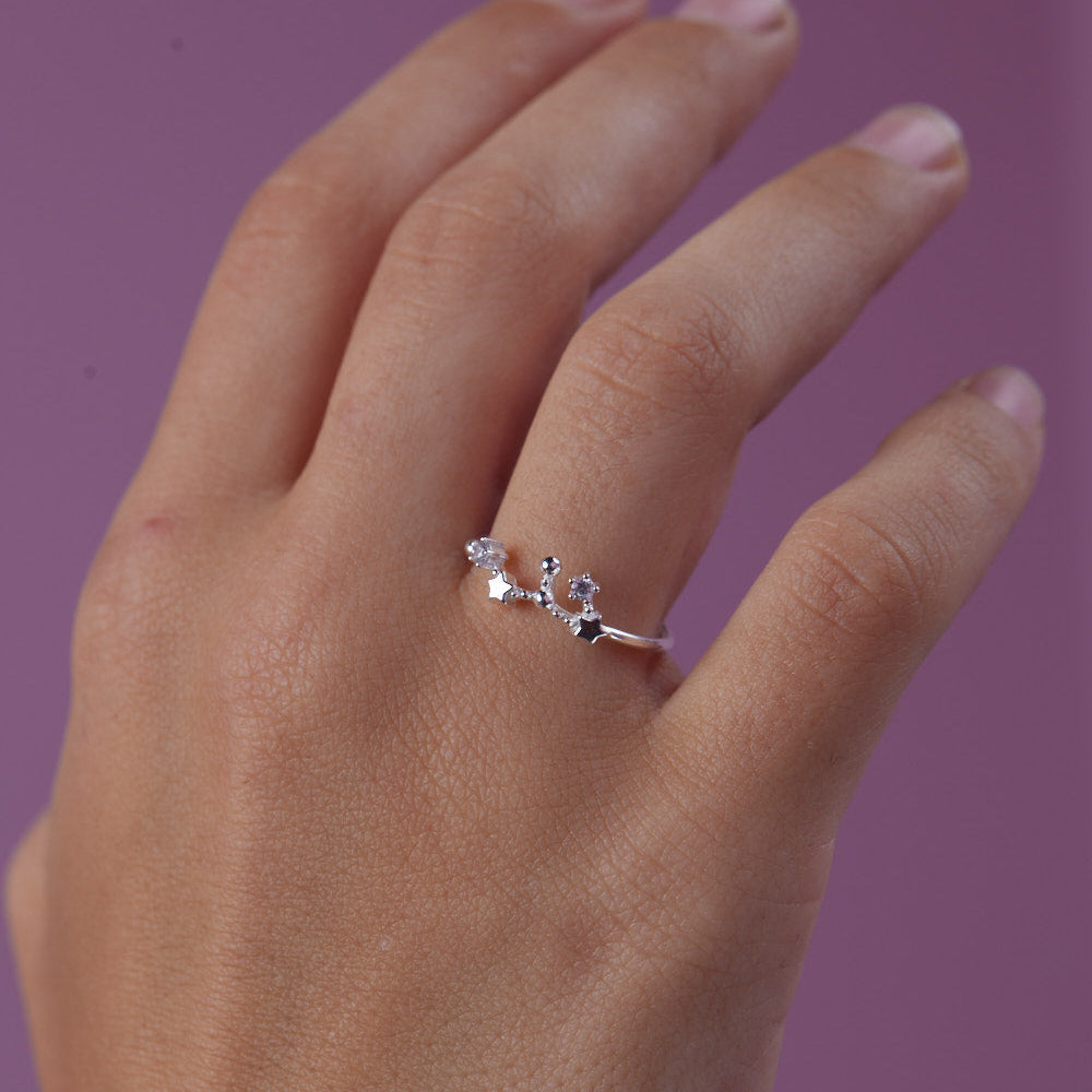 Anillo Leo Plata