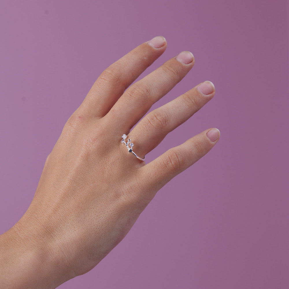 Anillo Leo Plata
