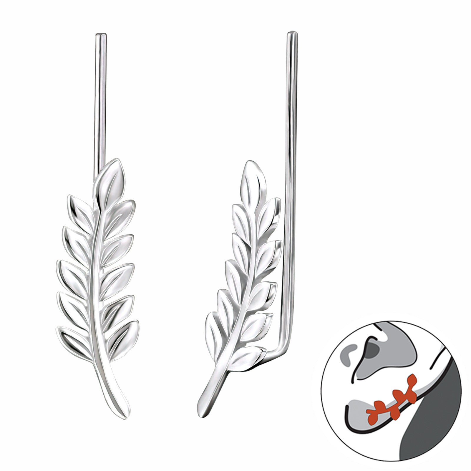 Trepador Espiga Plata