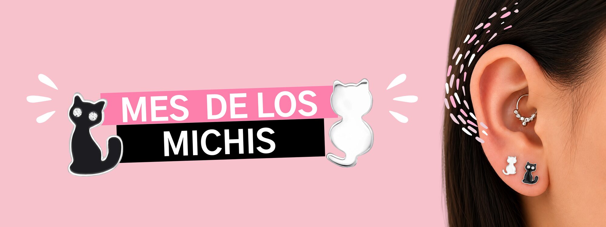 Gatos