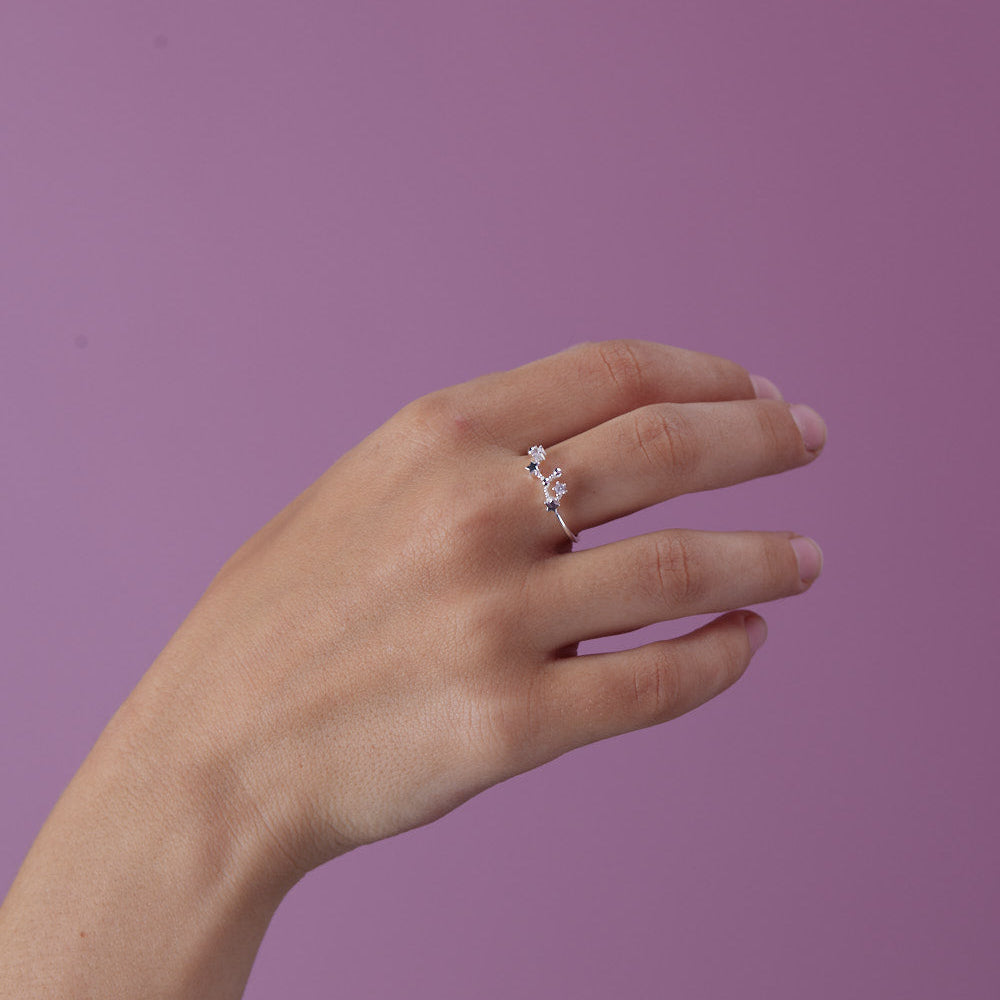 Anillo Leo Plata