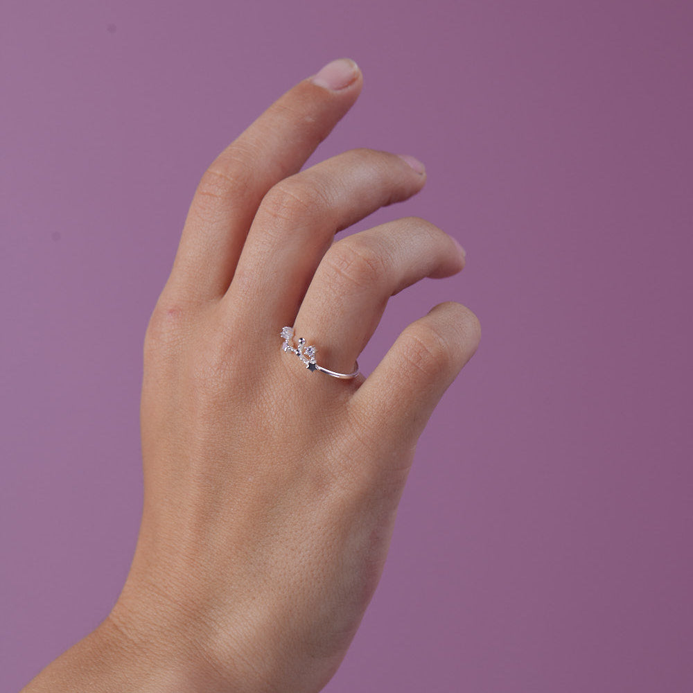 Anillo Leo Plata