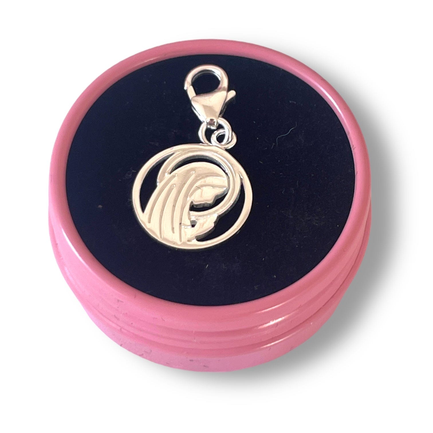 GOIA Charm Charm Virgen 12x12 Plata